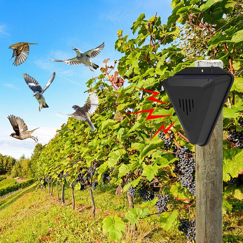 Waterproof Solar bird repeller - đánh giá và giá Fish Alarm